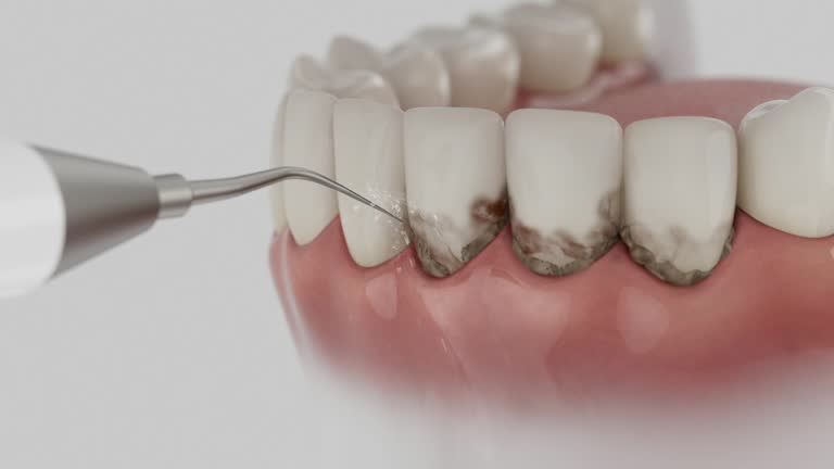 Reliable Dental contractor in The Woodlands, TX by Dentist Open Now